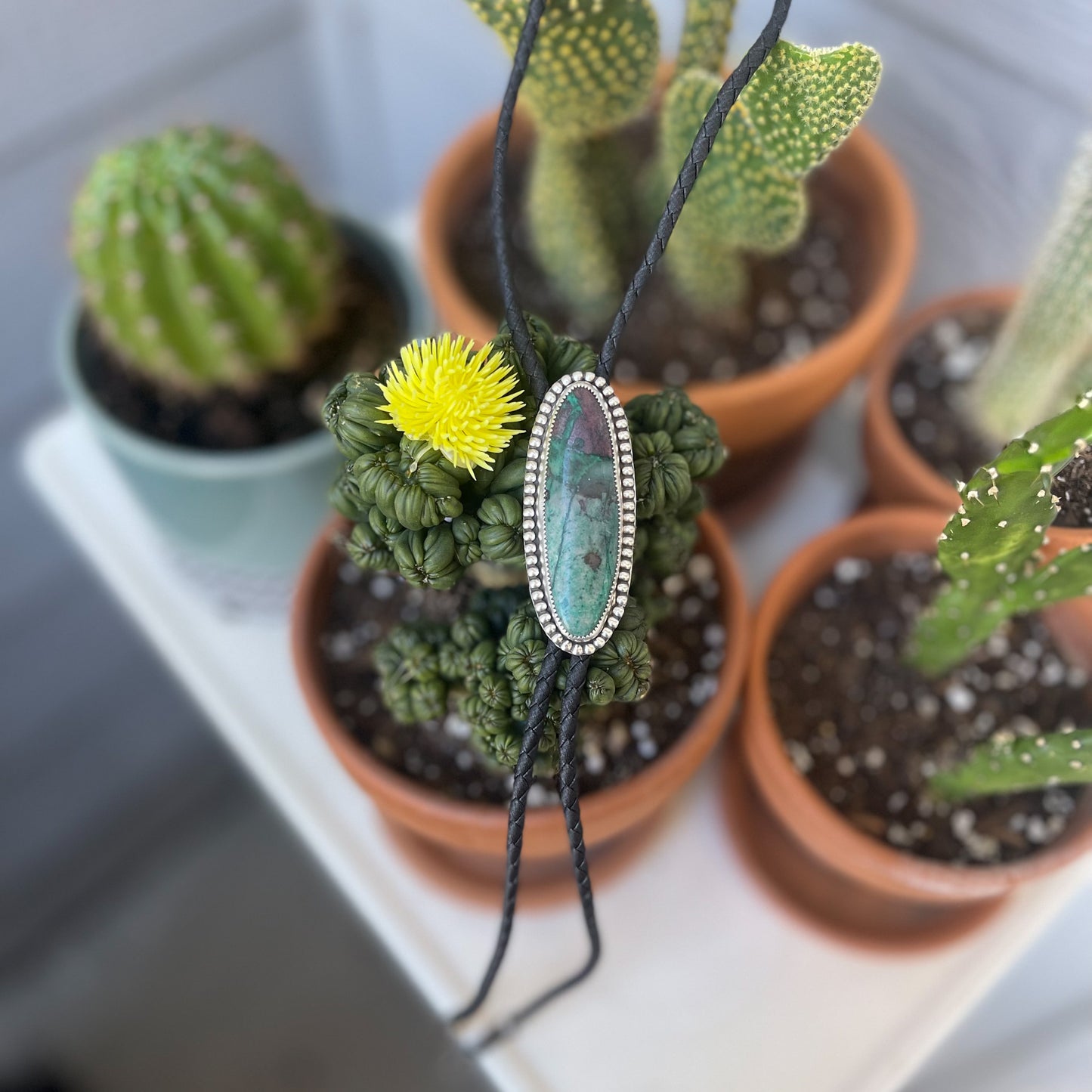 Sonoran Sunrise Bolo Tie