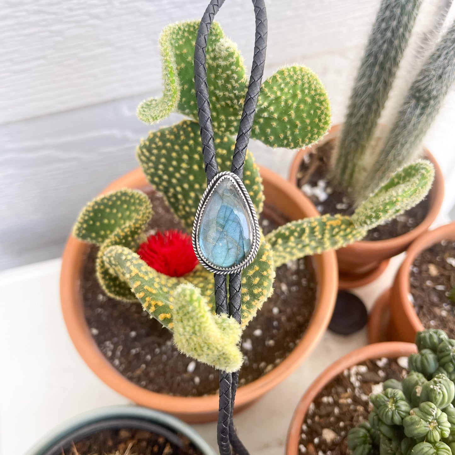 Labradorite Teardrop Bolo Tie